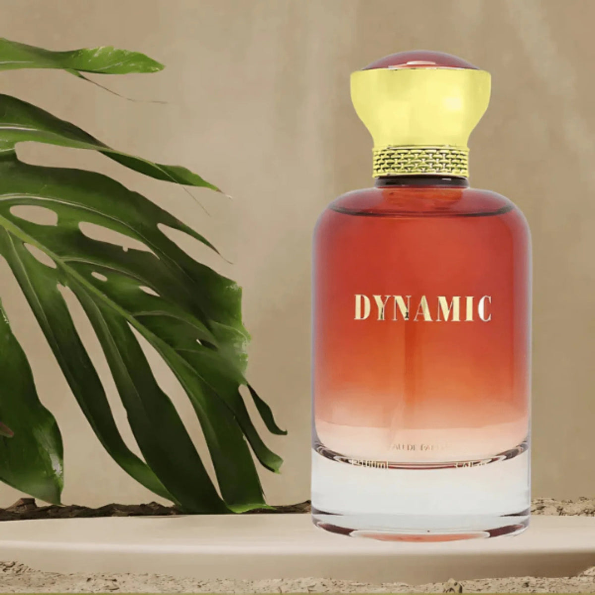 Bharara Dynamic Fragrance 3.4 oz 19213947187