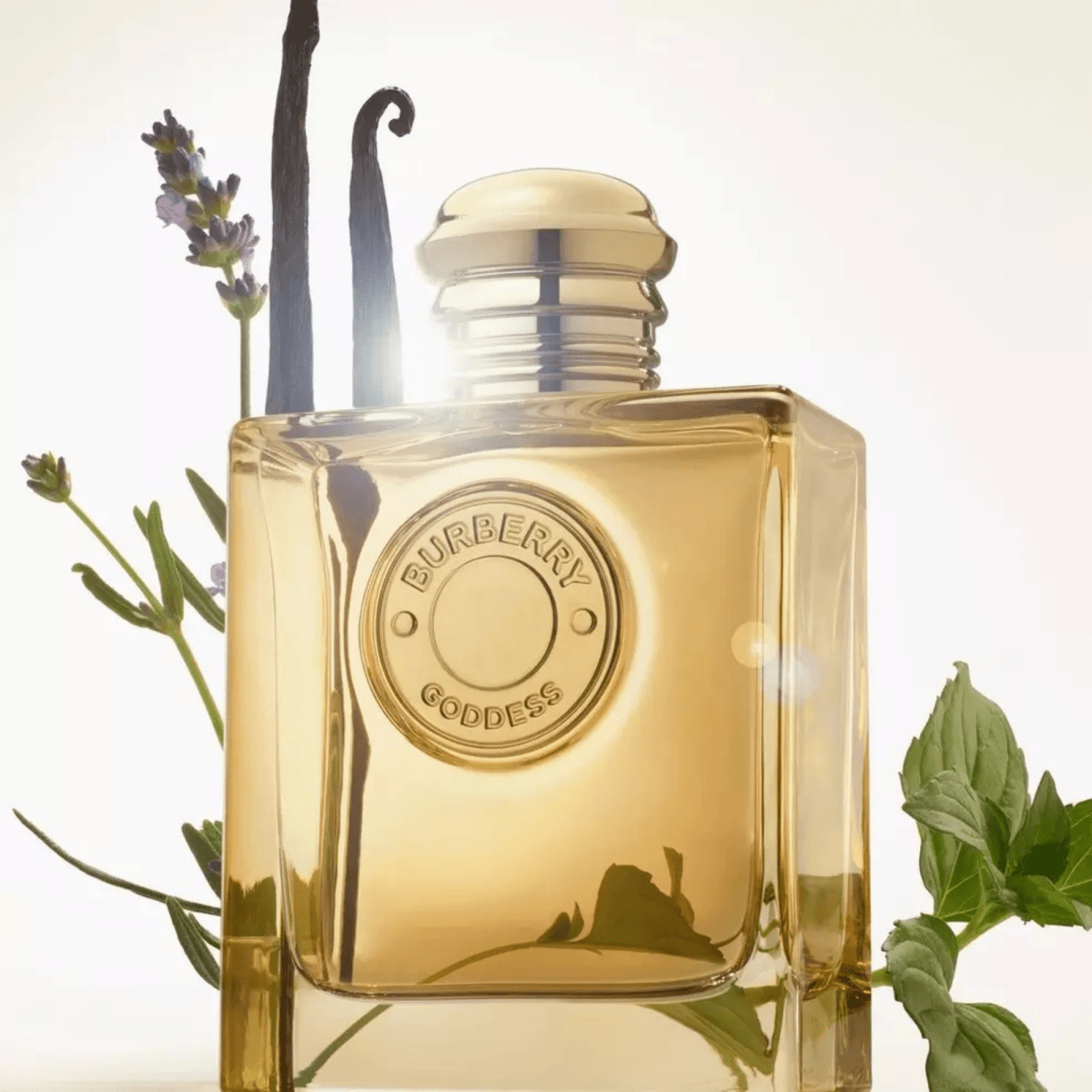 Burberry Goddess Gift Set Set 1 3616305632395