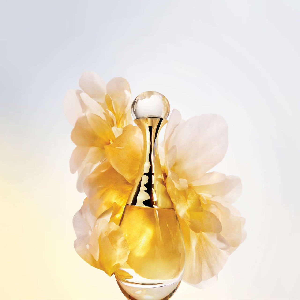 Christian Dior J'adore Fragrance 5.0 oz 3348901237116