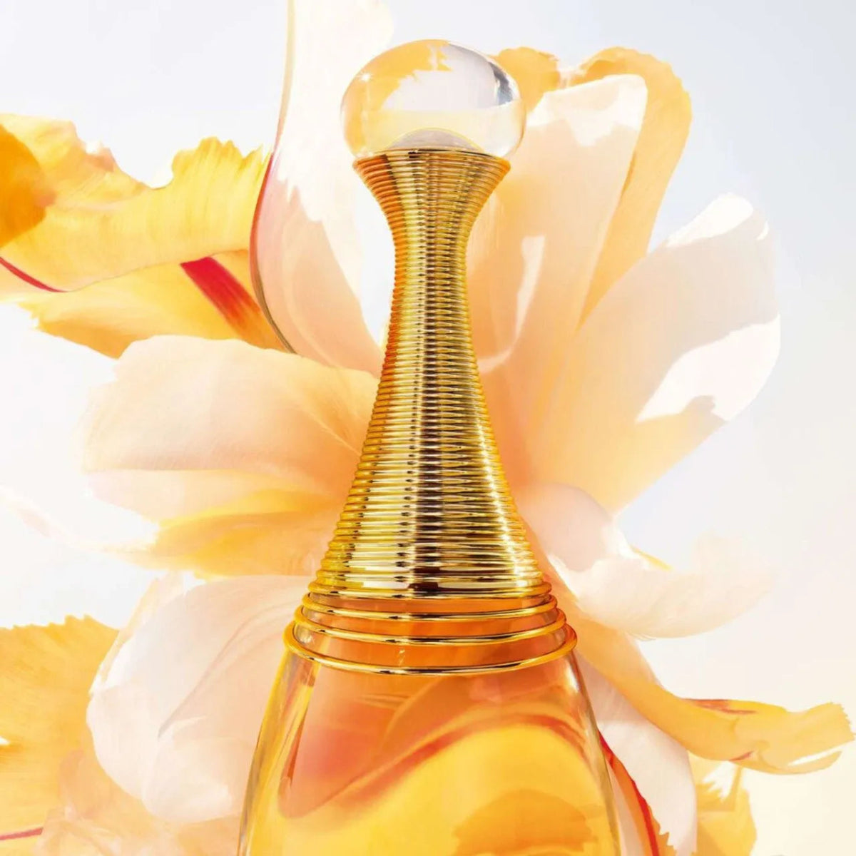 Christian Dior J'adore Gift Set Set 1 3348901727747