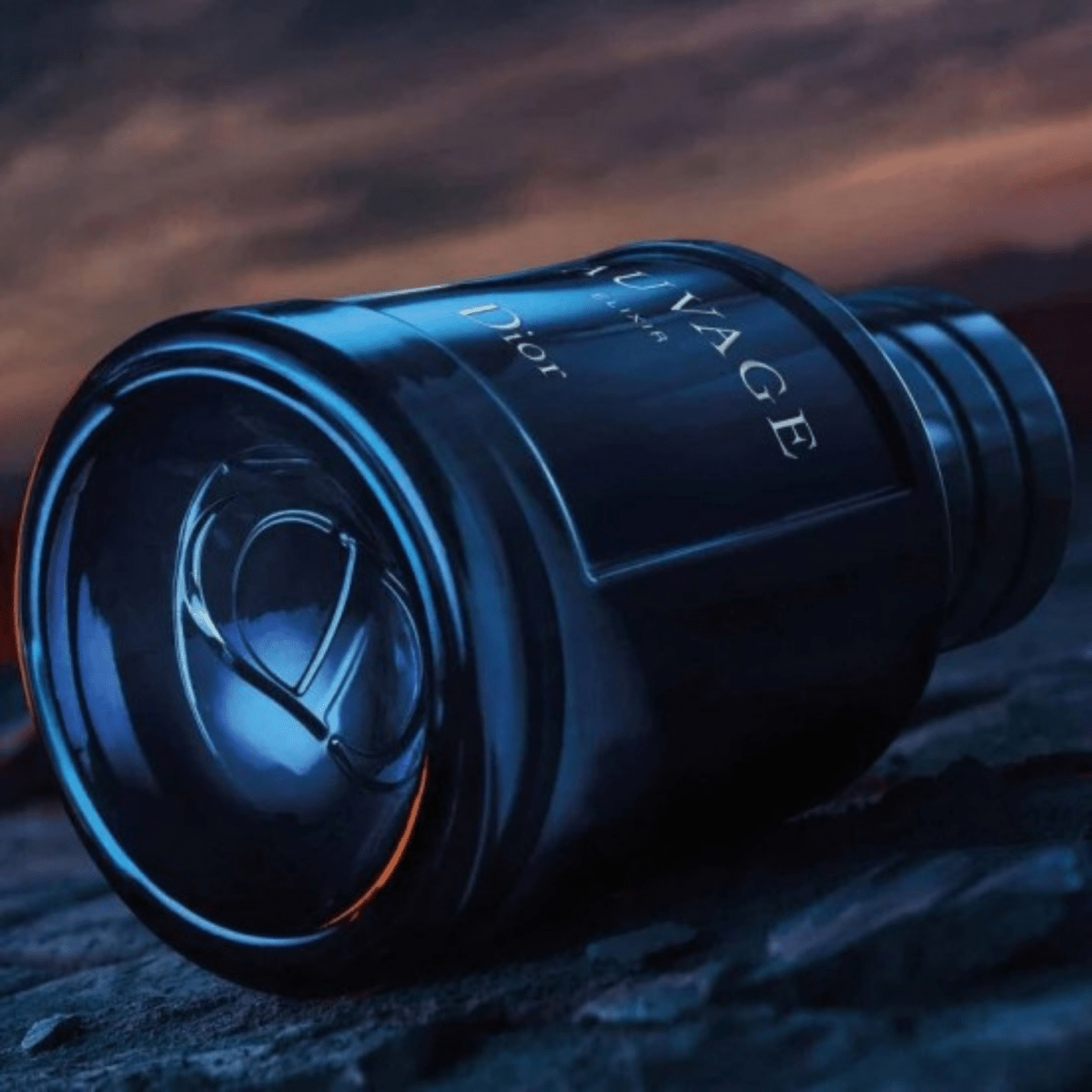 Christian Dior Sauvage Elixir Fragrance 2.0 oz 3348901567572