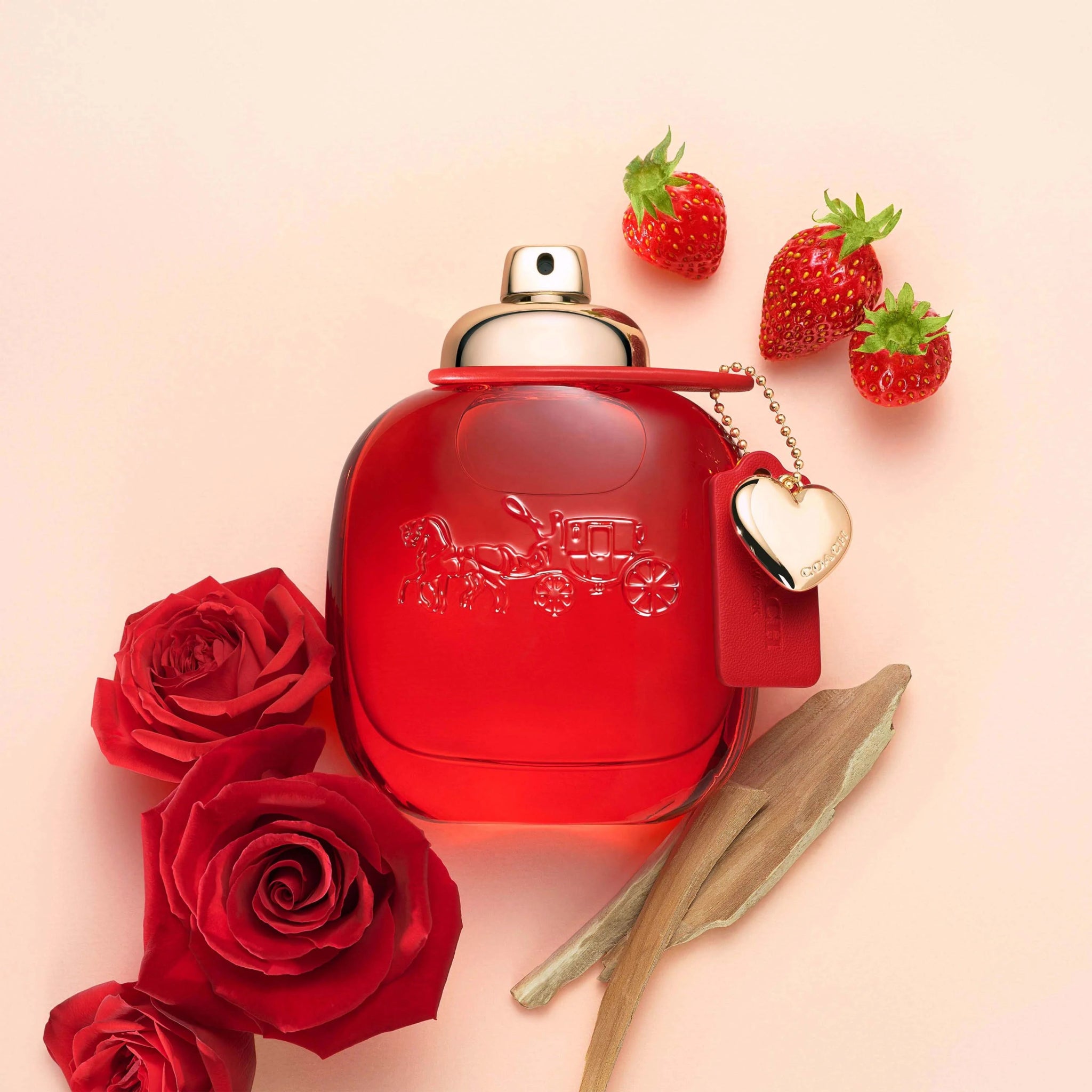 Coach Love Gift Set Set 1 3386460148801