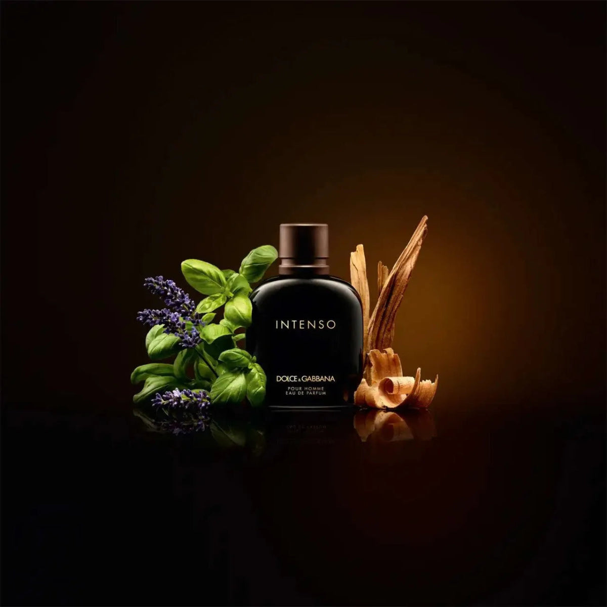 Dolce & Gabbana Intenso Fragrance 2.5 oz 8057971180455