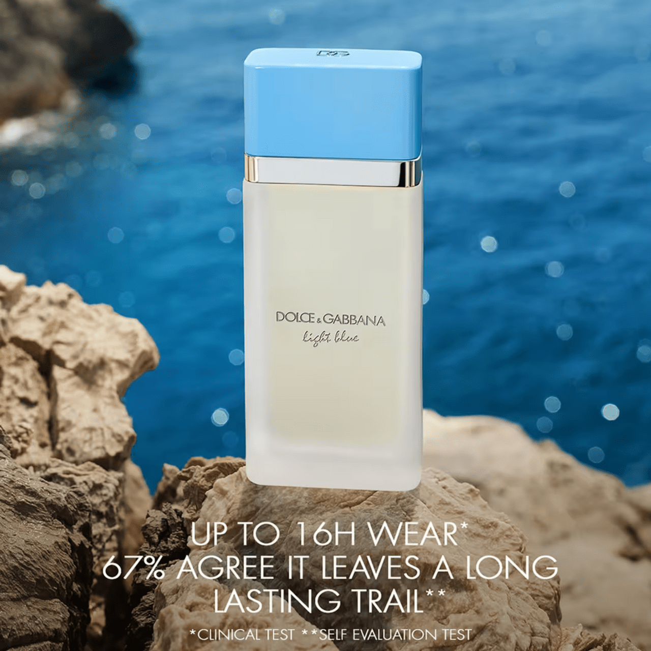 Dolce & Gabbana Light Blue Fragrance 3.3 oz 8057971180318