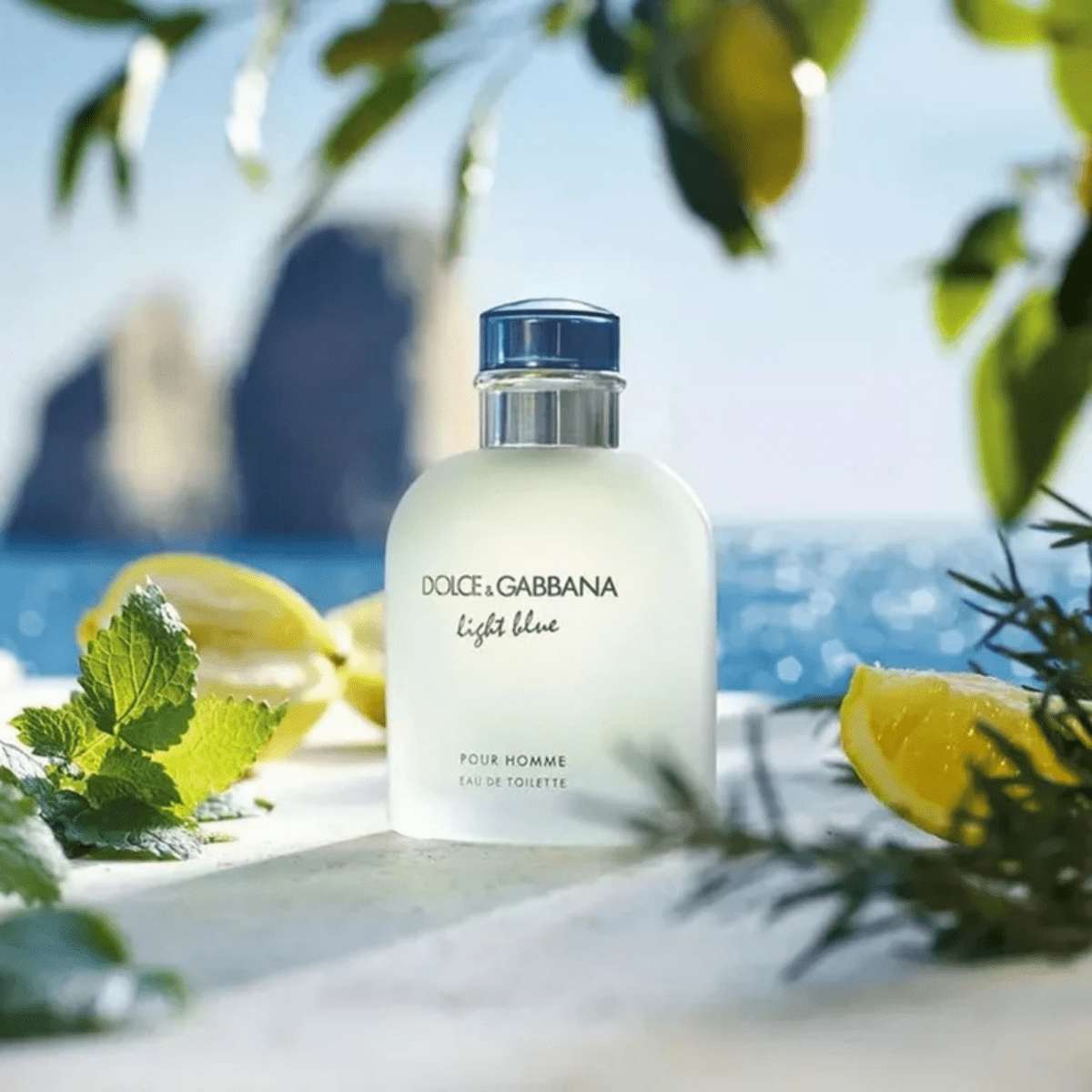 Dolce & Gabbana Light Blue Fragrance 4.2 oz 8057971180356