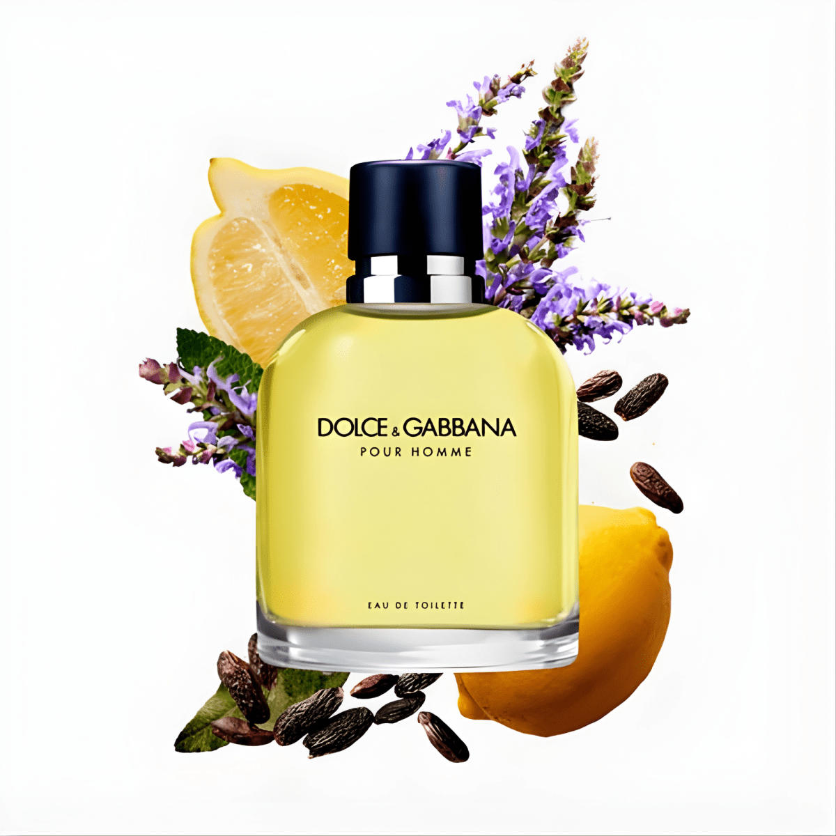 Dolce & Gabbana Pour Homme Tester 4.2 oz 3423473026785