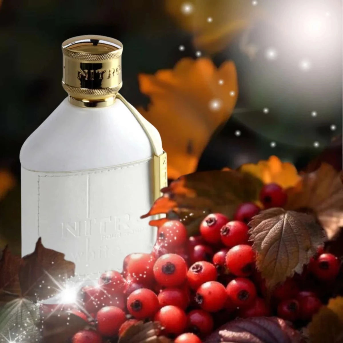 Dumont Nitro White Fragrance 3.4 oz 3760060764171