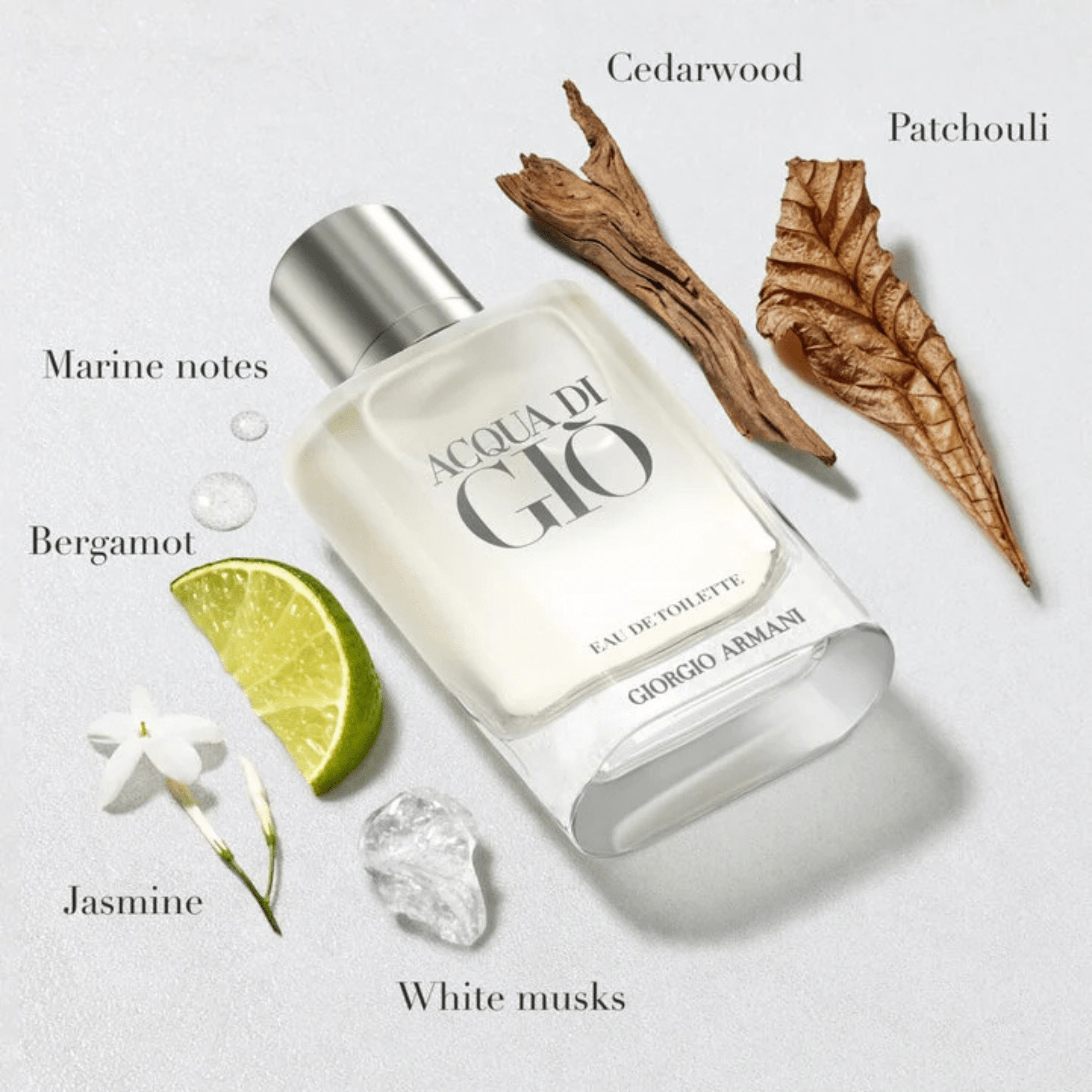 Giorgio Armani Acqua di Giò Gift Set Set 1 3614274109986