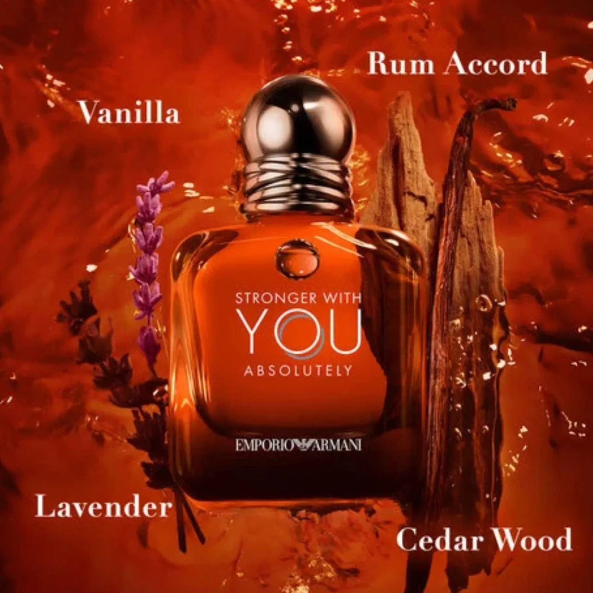 Giorgio Armani Stronger With You Fragrance 3.4 oz 3614273336383