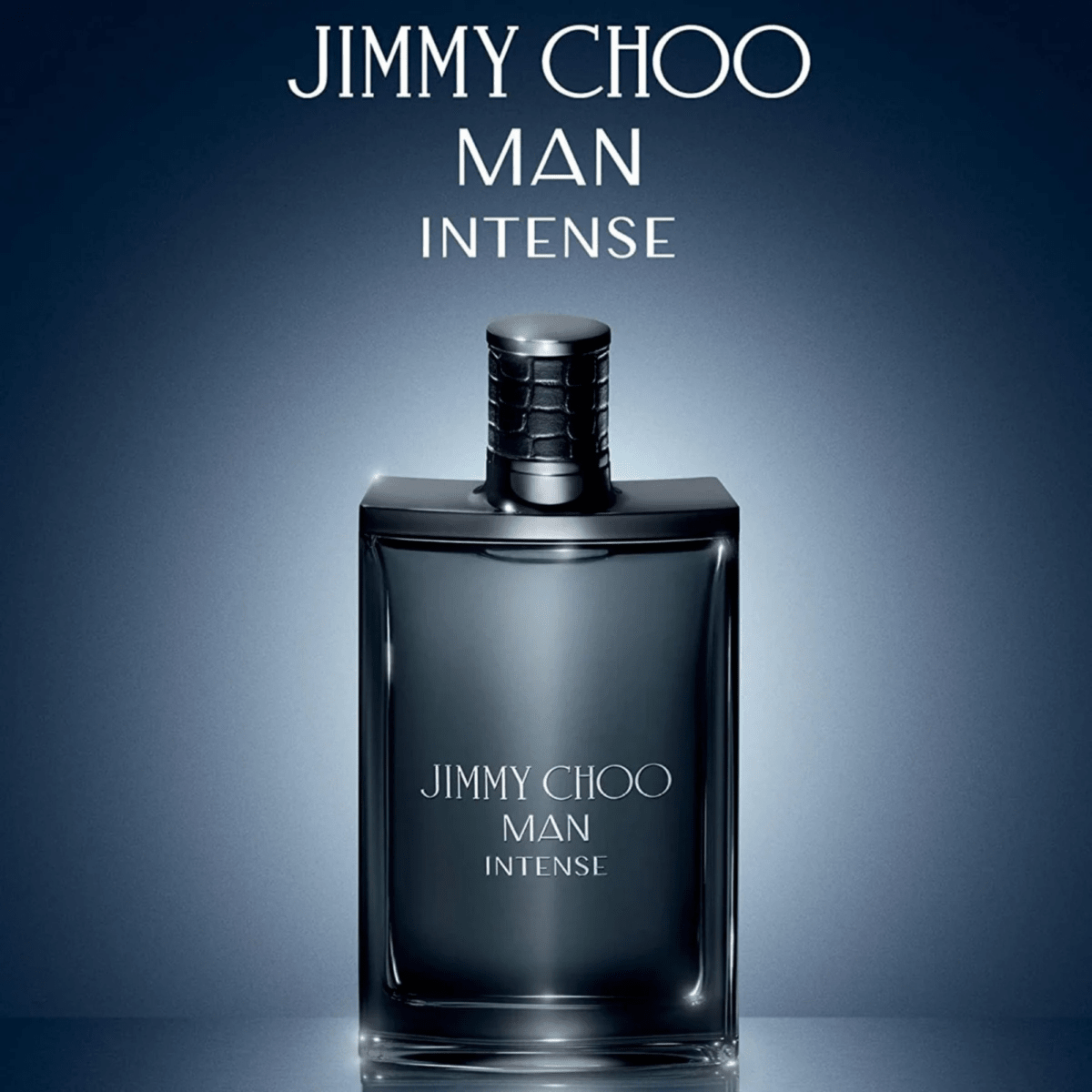 Jimmy Choo Man Intense Fragrance 6.7 oz 3386460108768