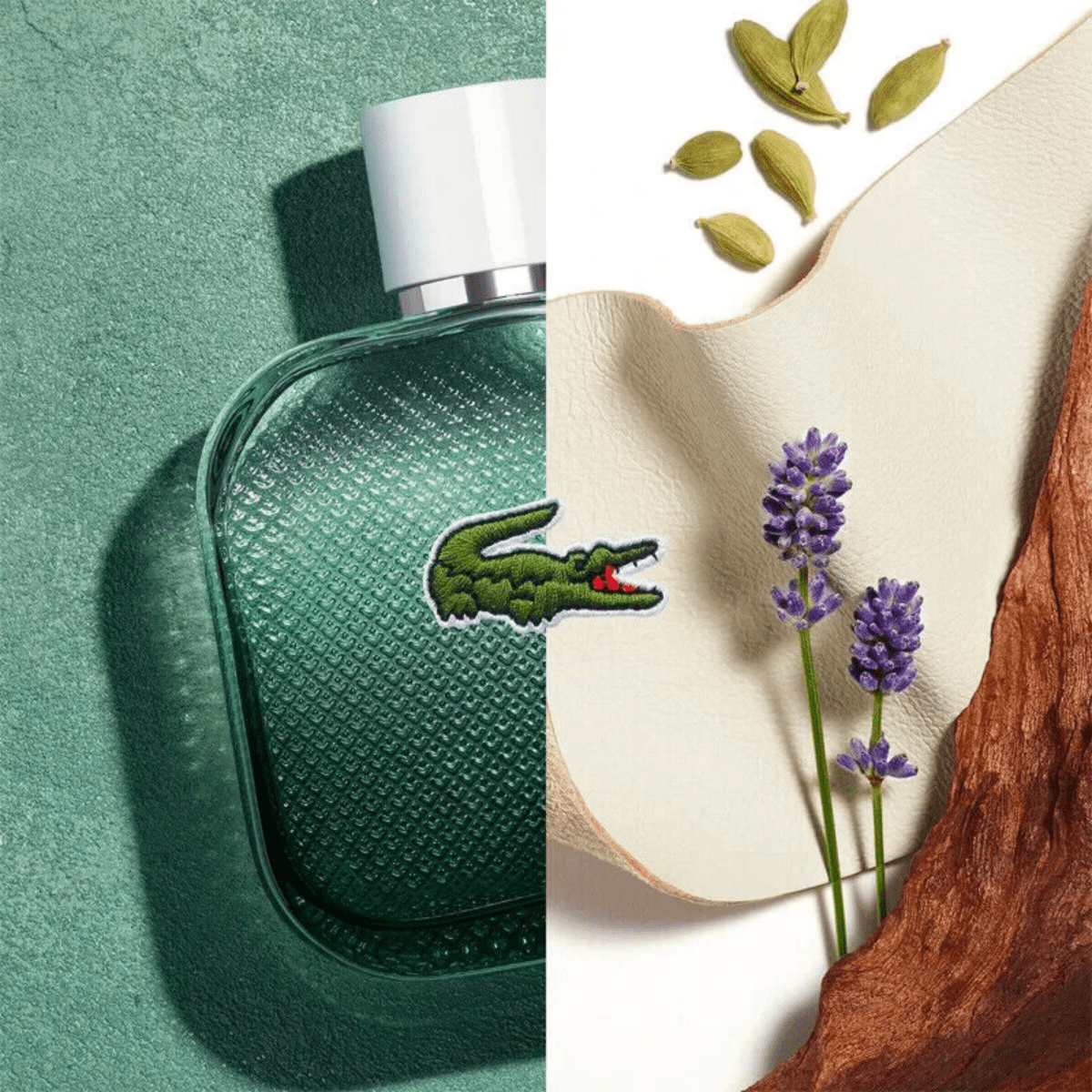 Lacoste 12.12 Blanc Intense Fragrance 3.3 oz 3386460149150