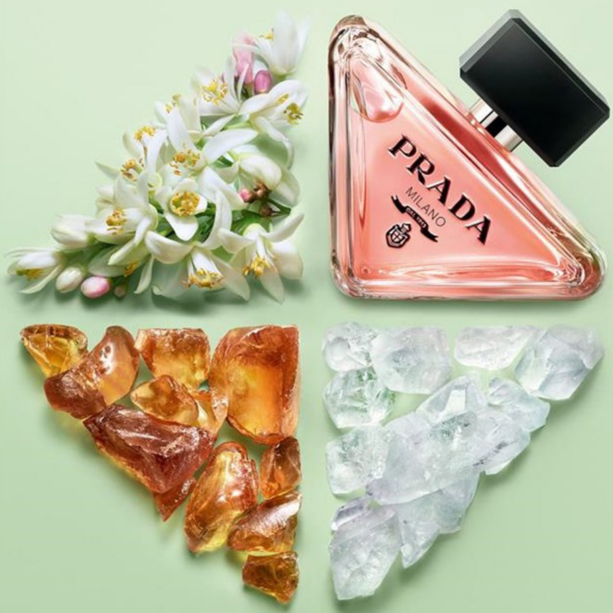 Prada Paradoxe Fragrance 1.6 oz 3614273760652