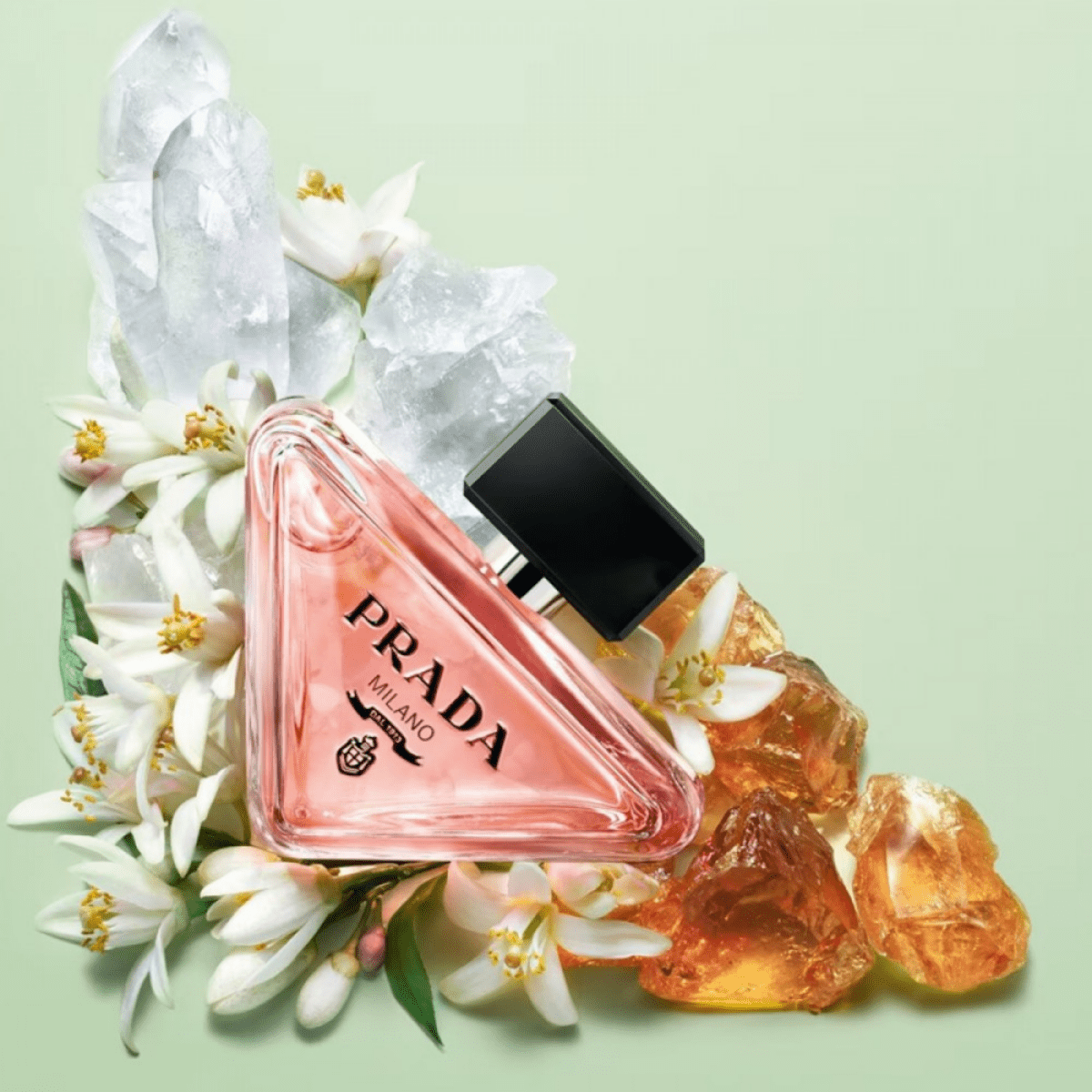 Prada Paradoxe Fragrance 1.6 oz 3614273760652