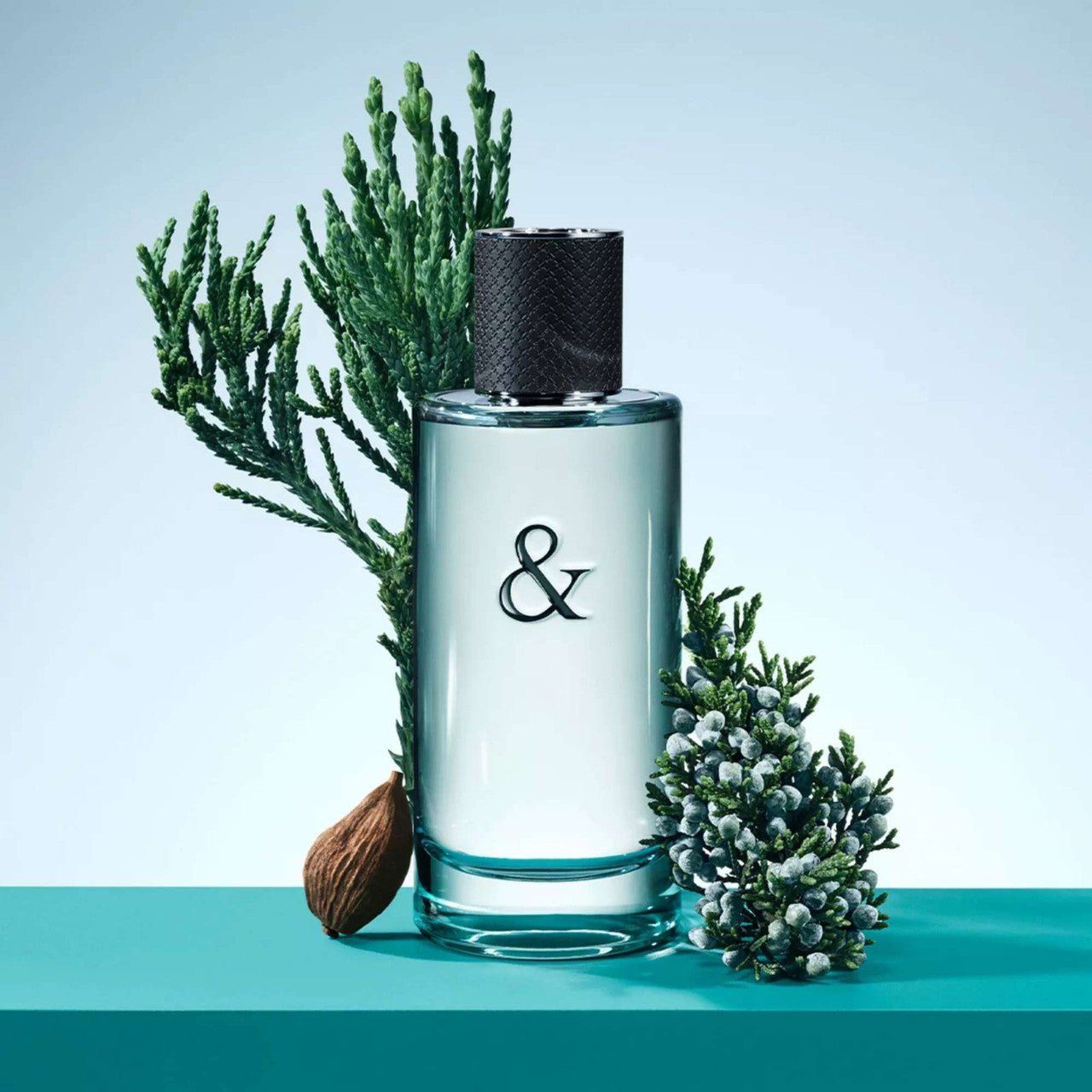 Tiffany & Co. Love Fragrance 3.0 oz 3614227728783