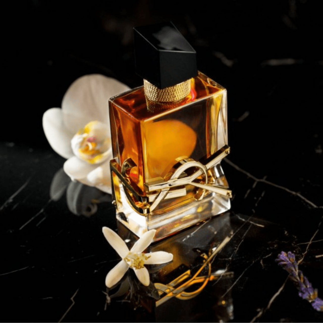 Yves Saint Laurent Libre Intense Fragrance 3.0 oz 3614273069557