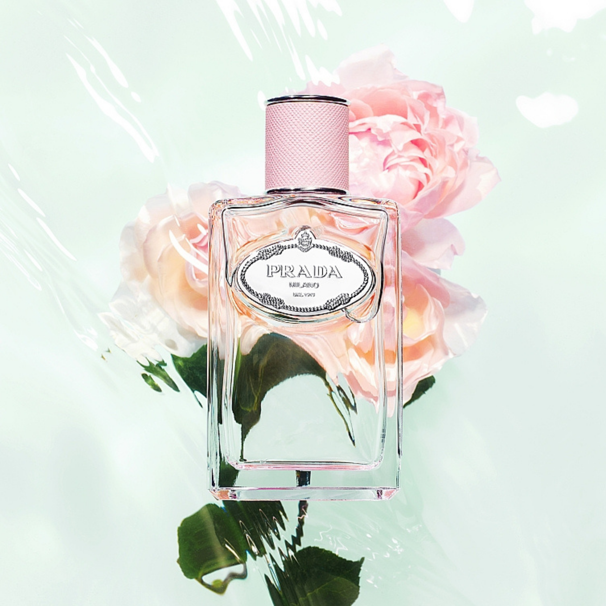 Infusion De Rose