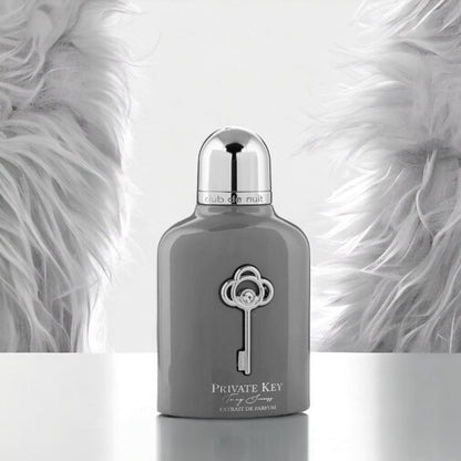 Armaf Private Key To My Success Fragrance 3.4 oz 6294015165005