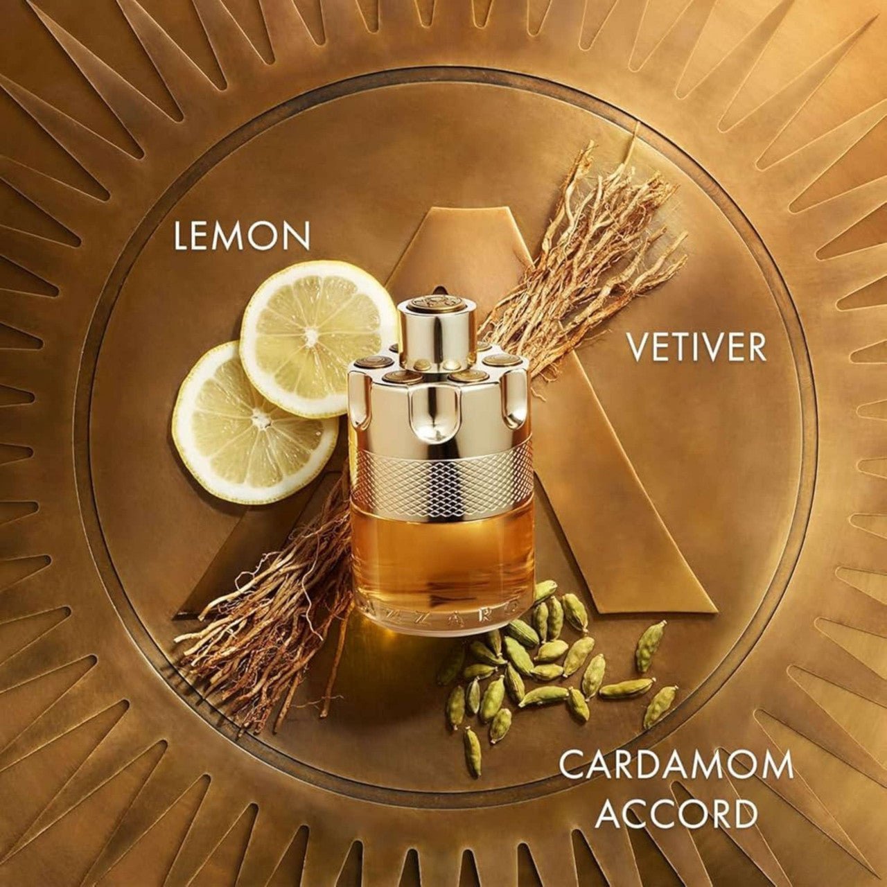 Azzaro Wanted Fragrance 3.4 oz 3351500016617