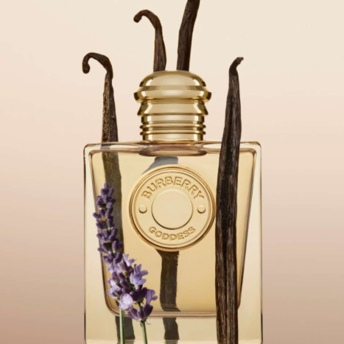 Burberry Goddess Fragrance 3.4 oz 3616302020652