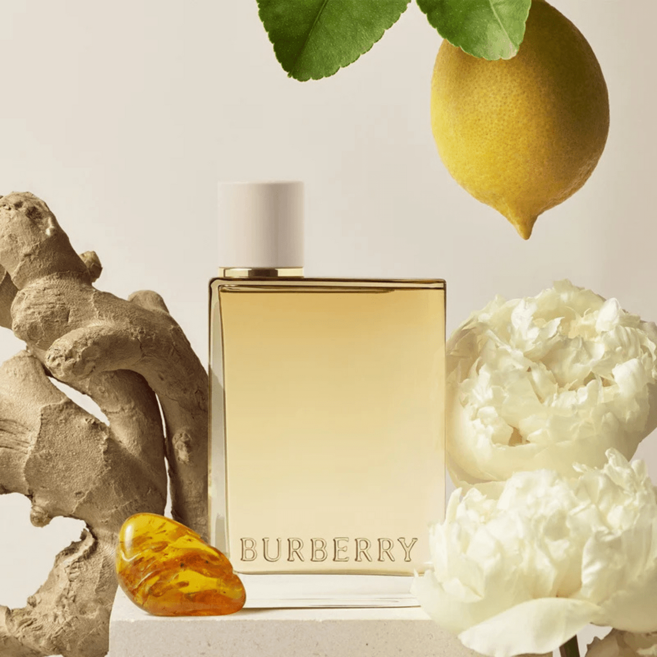 Burberry London Dream Fragrance 3.3 oz 3616300892442