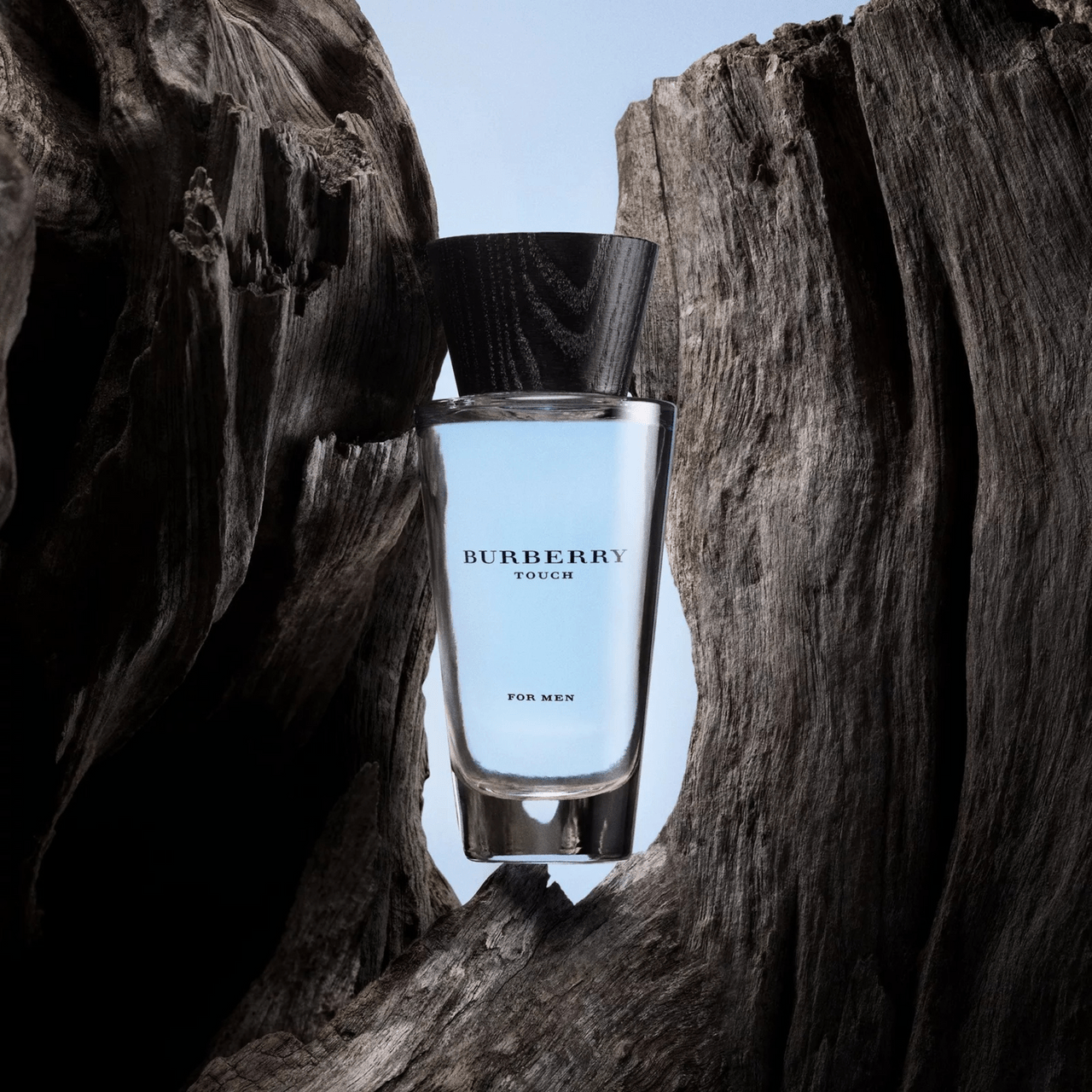 Burberry Touch Fragrance 3.3 oz 3614227748682