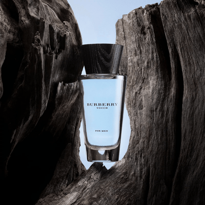Burberry Touch Fragrance 3.3 oz 3614227748682