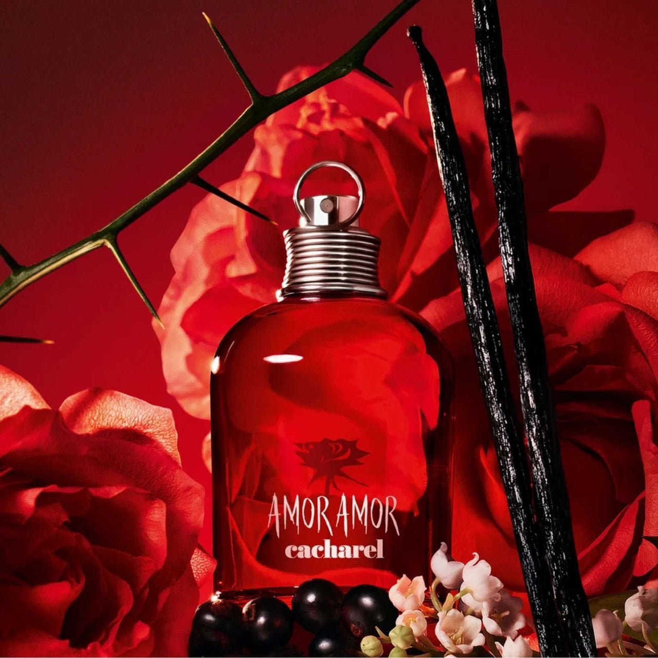 Cacharel Amor Amor Fragrance 3.4 oz 3360373063680