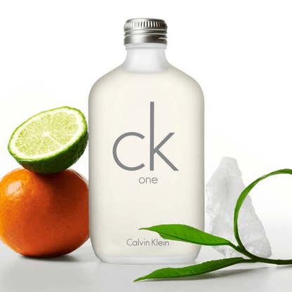 Calvin Klein Ck One Fragrance 6.7 oz 088300107438