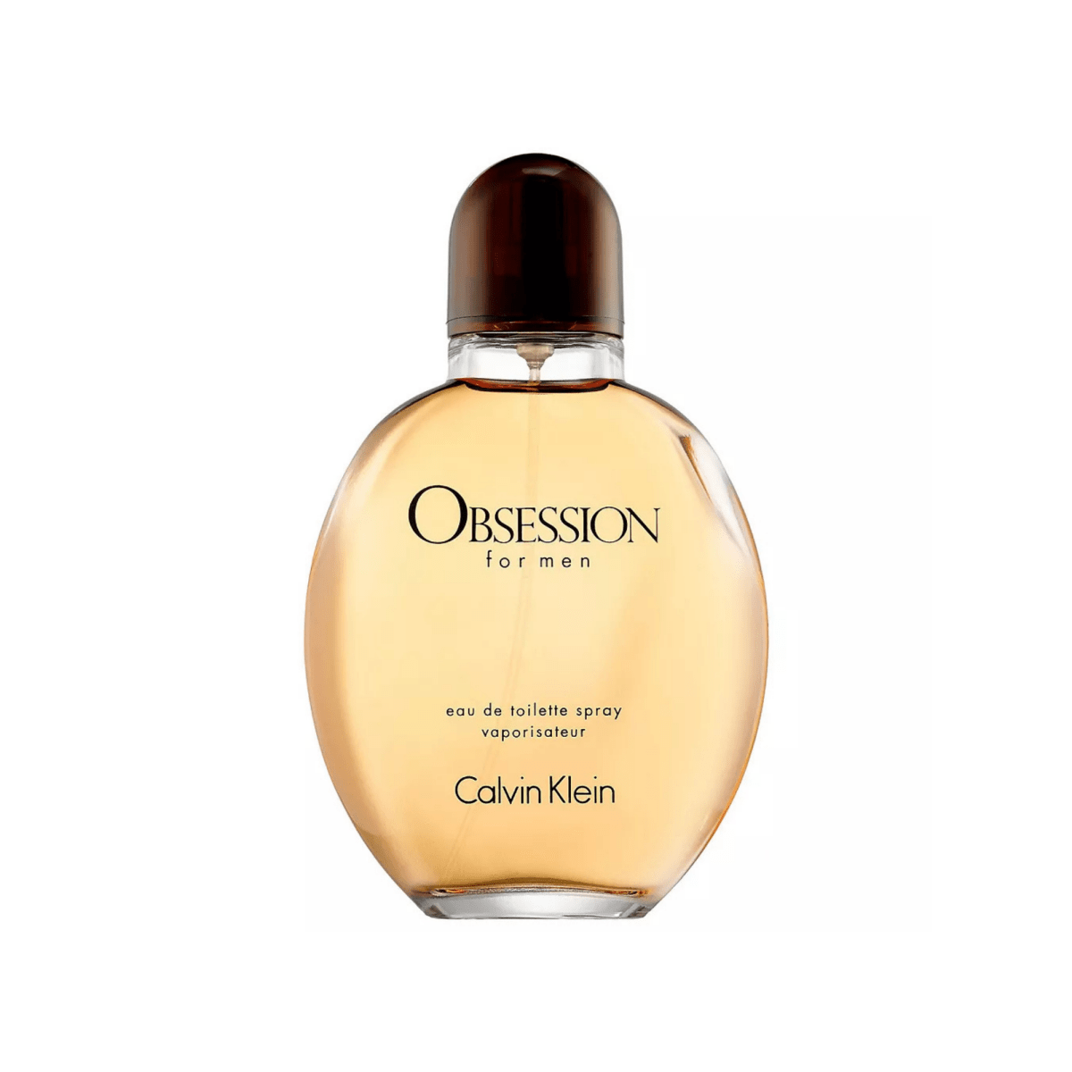 Calvin Klein Obsession Fragrance 2.5 oz 088300606504
