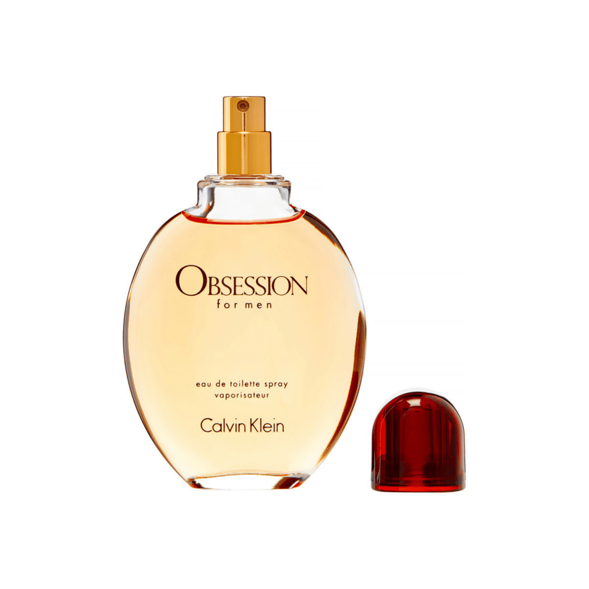 Calvin Klein Obsession Fragrance 2.5 oz 088300606504