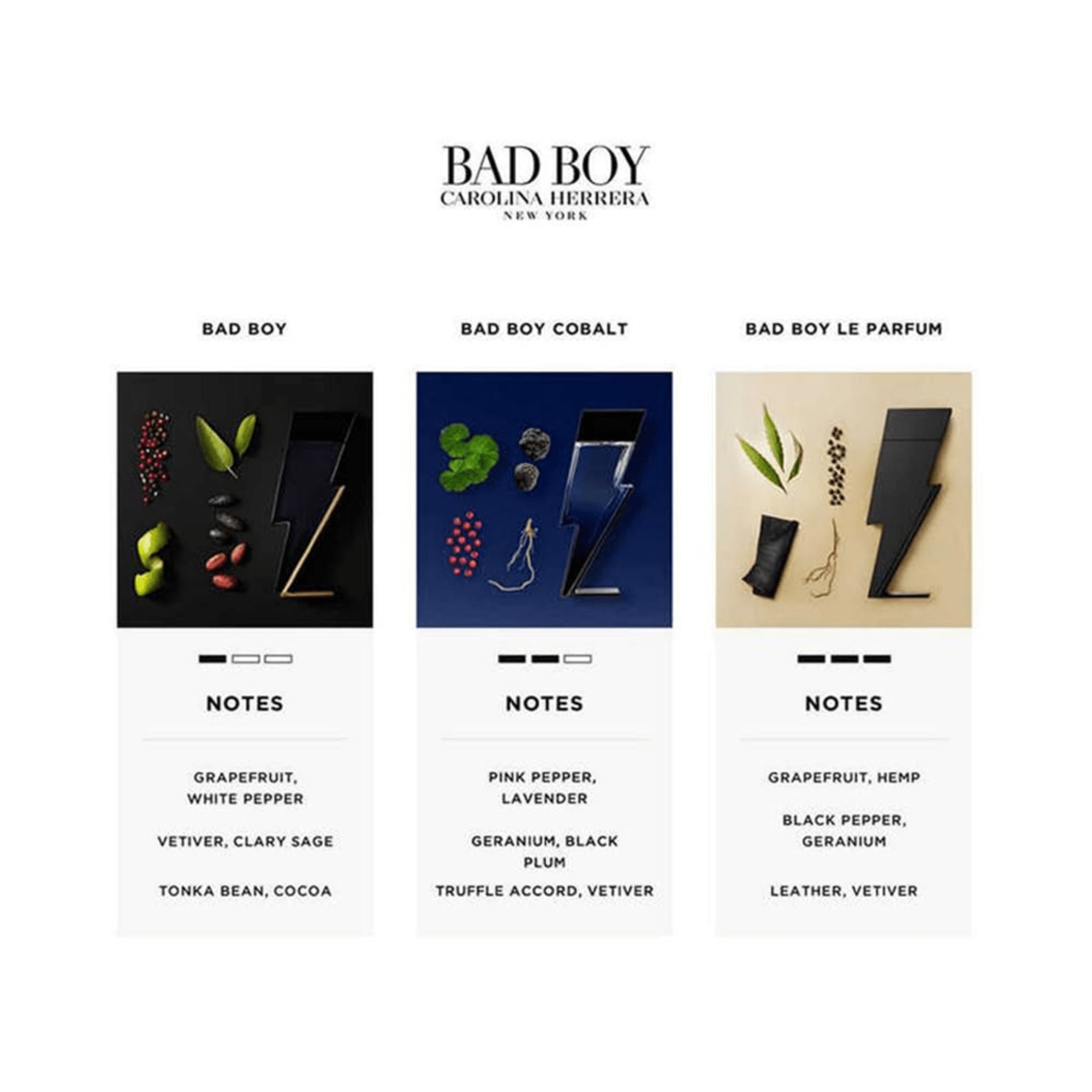 Carolina Herrera Bad Boy Cobalt Gift Set Set 1 8411061102008