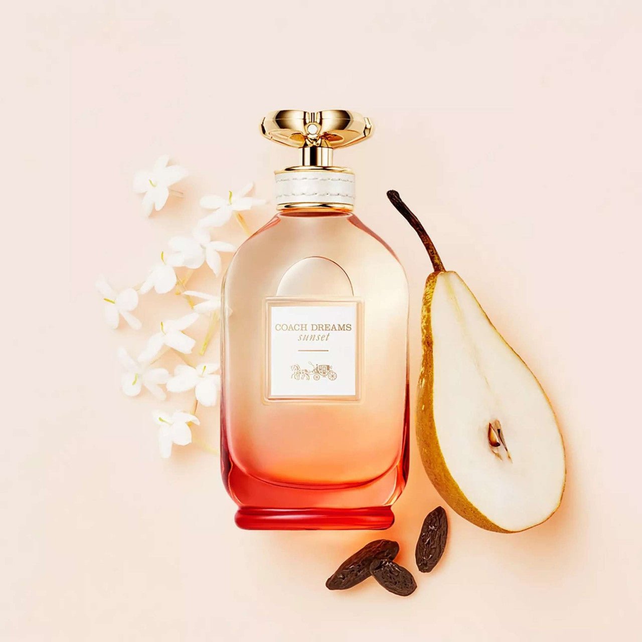 Coach Dream Sunset Fragrance 3.0 oz 3386460123501