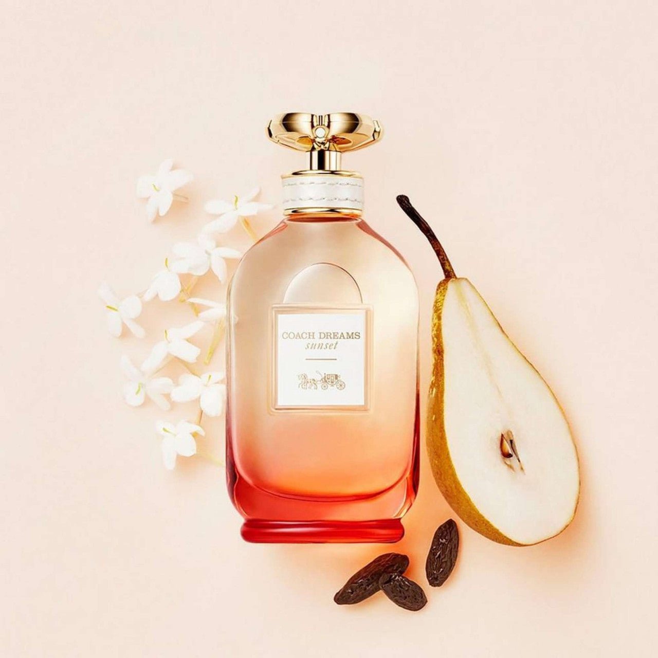 Coach Dream Sunset Gift Set Set 1 3386460138956