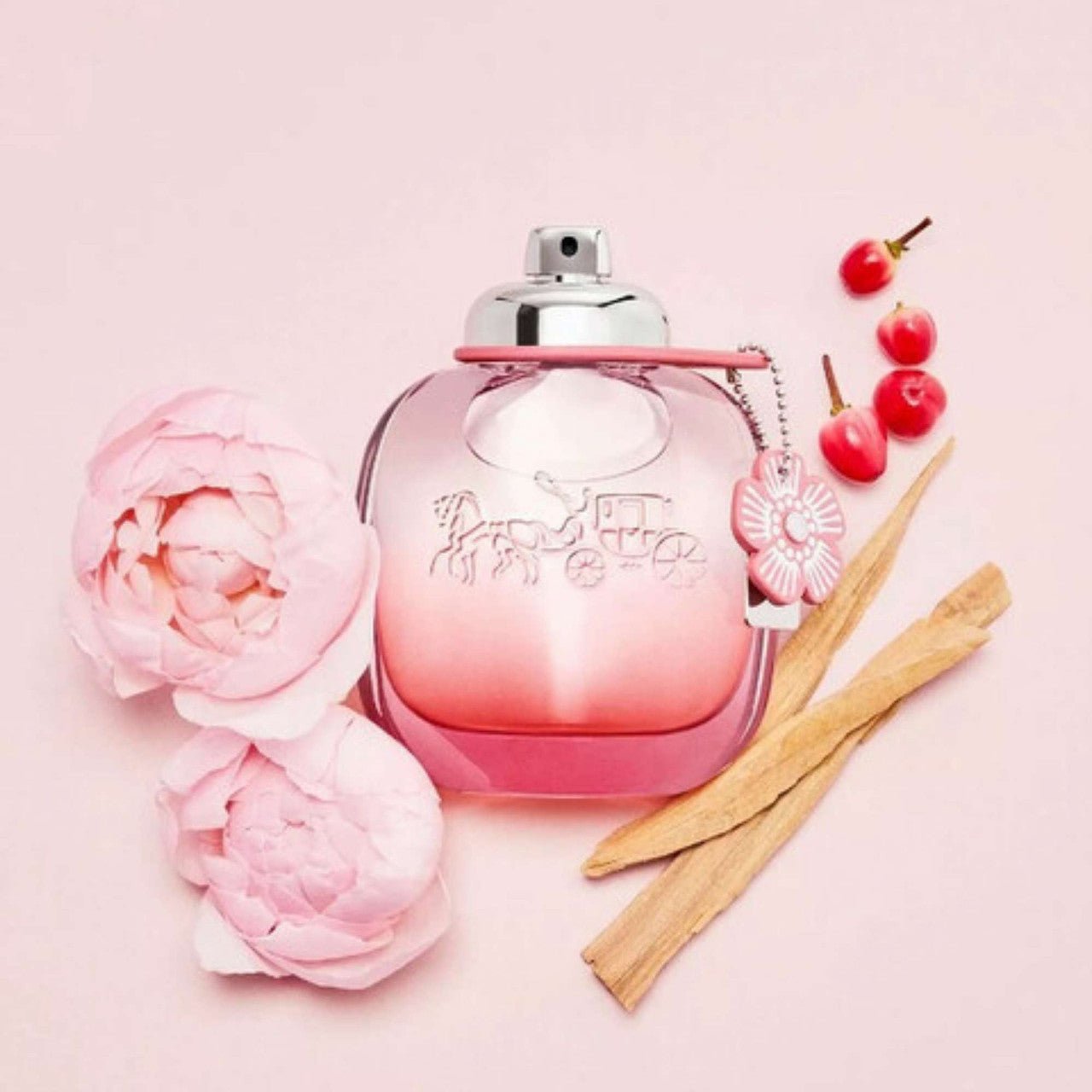 Coach Floral Blush Fragrance 3.0 oz 3386460108119