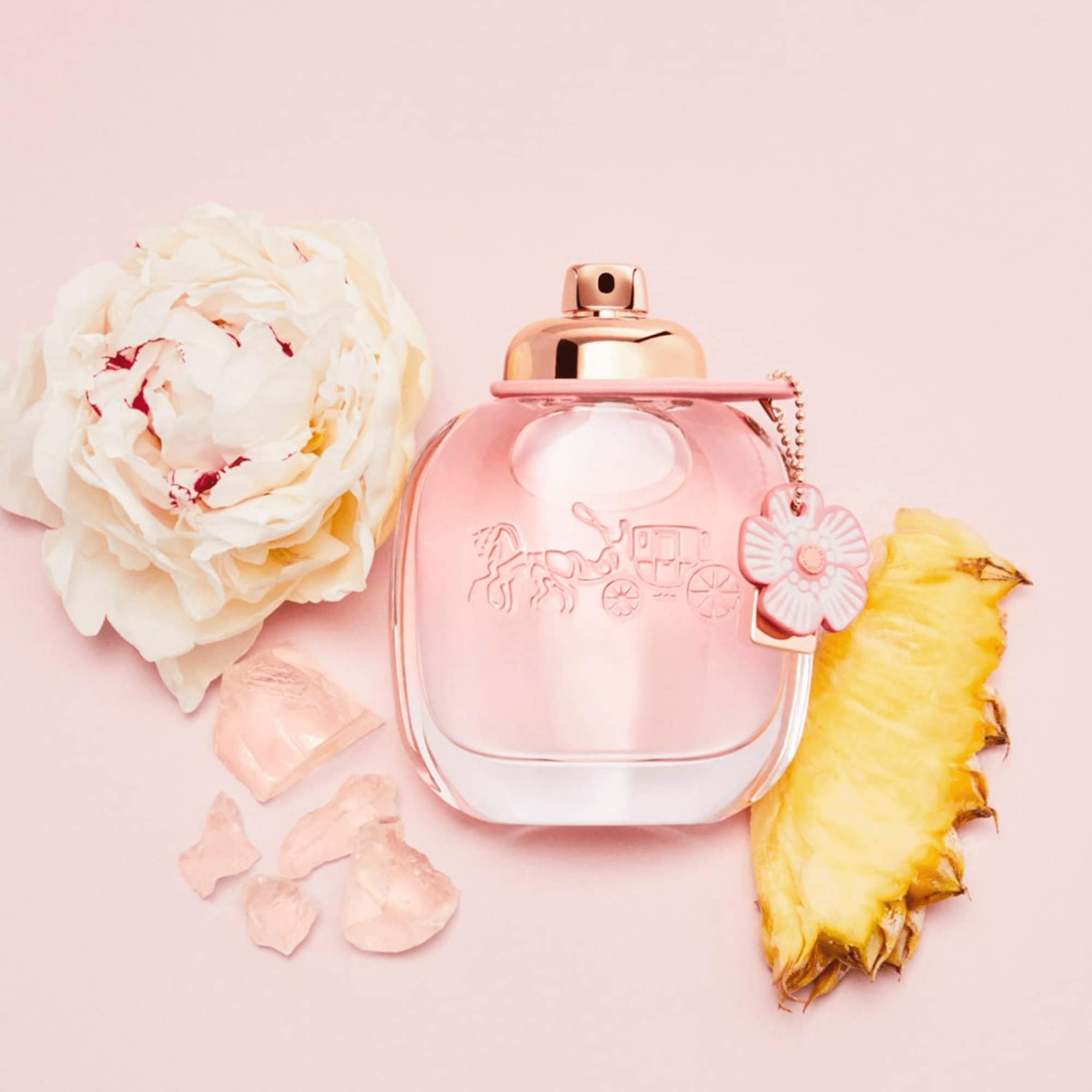 Coach Floral Gift Set Set 1 3386460147194