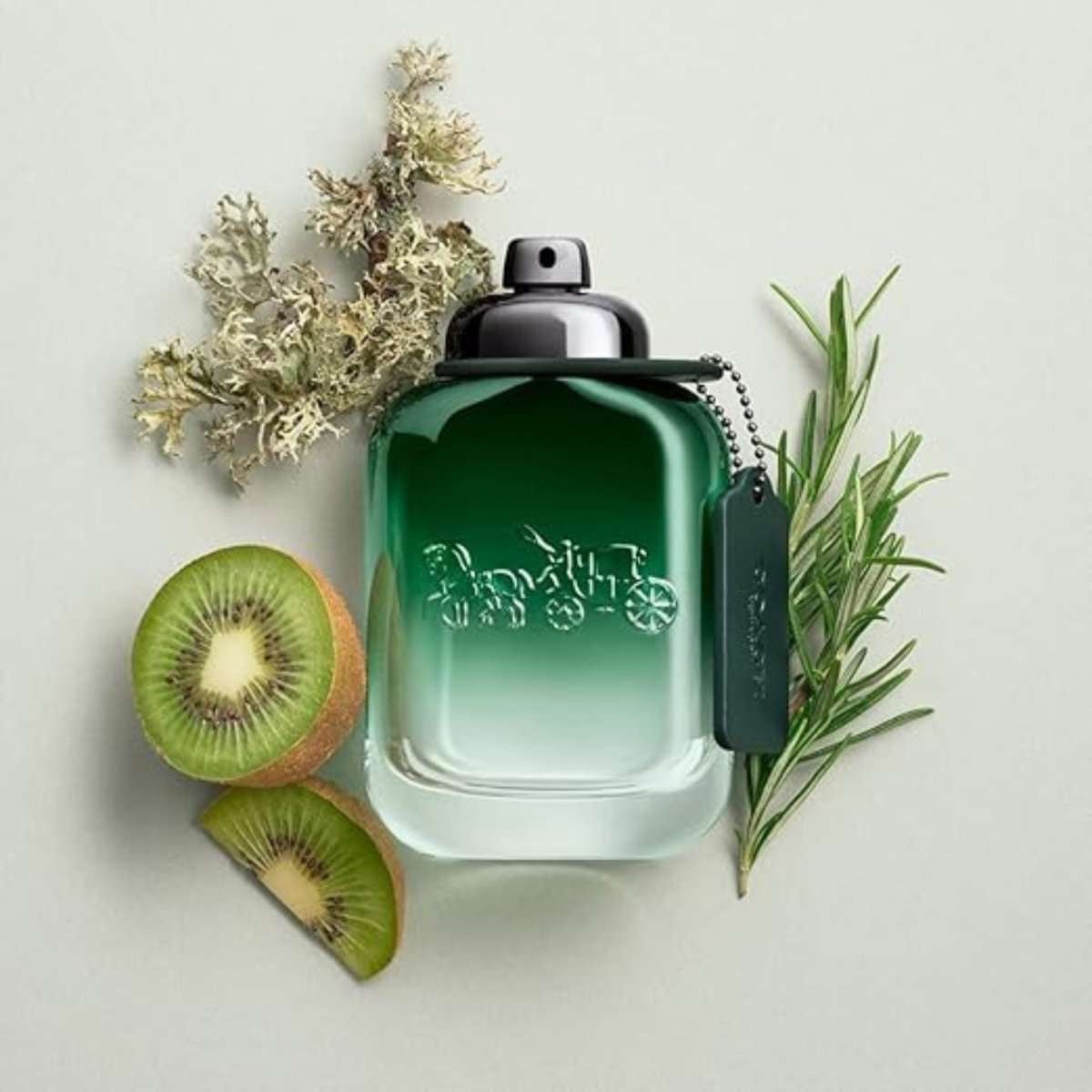 Coach Green Fragrance 3.3 oz 3386460141253