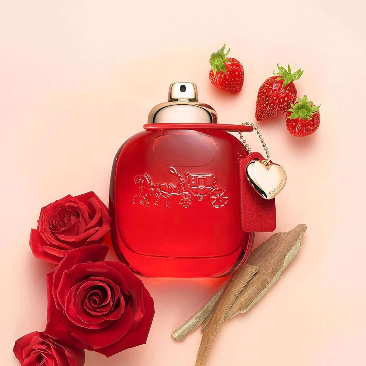 Coach Love Fragrance 3.0 oz 3386460142175