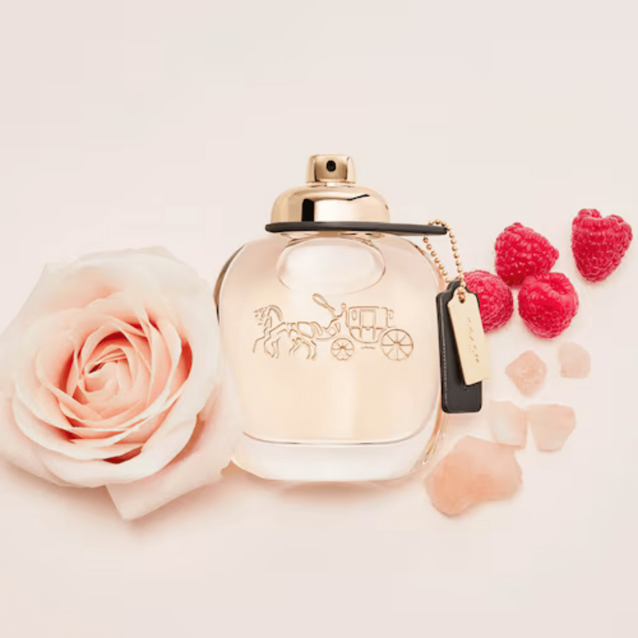 Coach New York Fragrance 3.0 oz 3386460078306