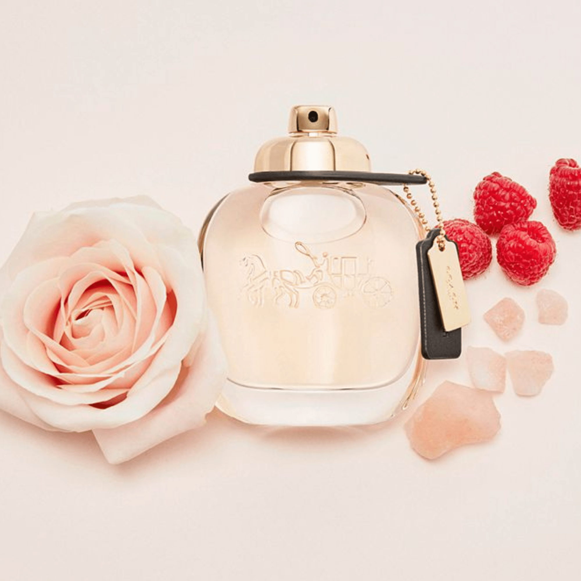 Coach New York Gift Set Set 1 3386460148795