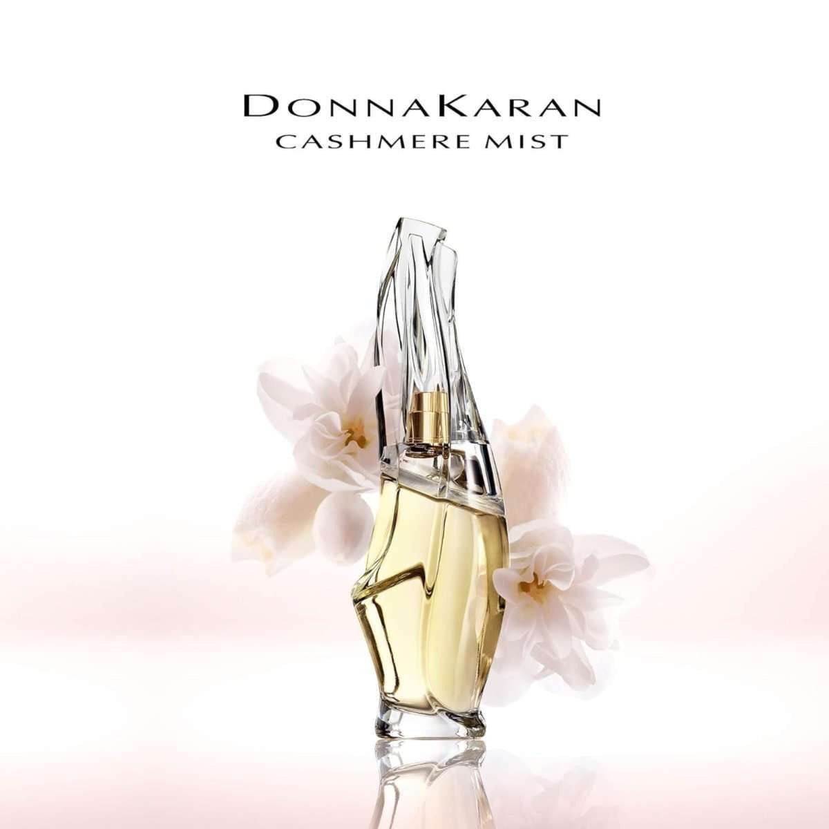 Dkny Cashmere Mist Fragrance 3.4 oz 763511099733