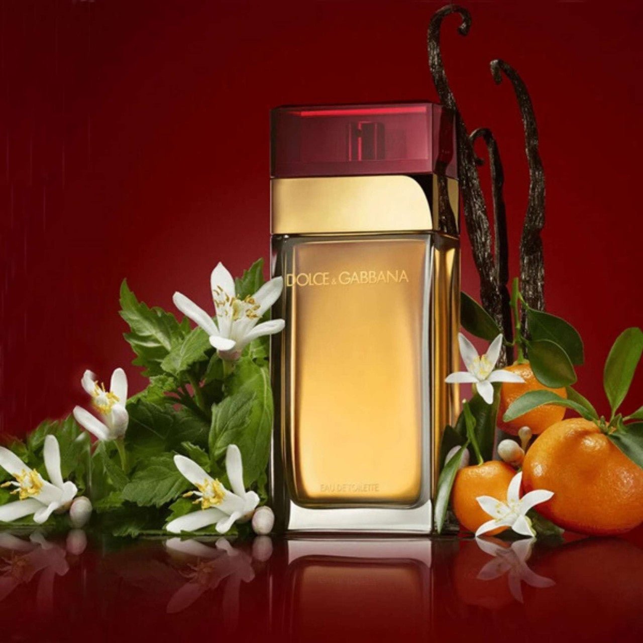 Dolce & Gabbana Dolce & Gabbana Fragrance 3.4 oz 3423473020622