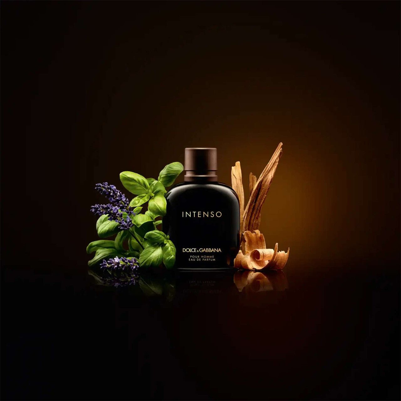 Dolce & Gabbana Intenso Fragrance 4.2 oz 3423473020820