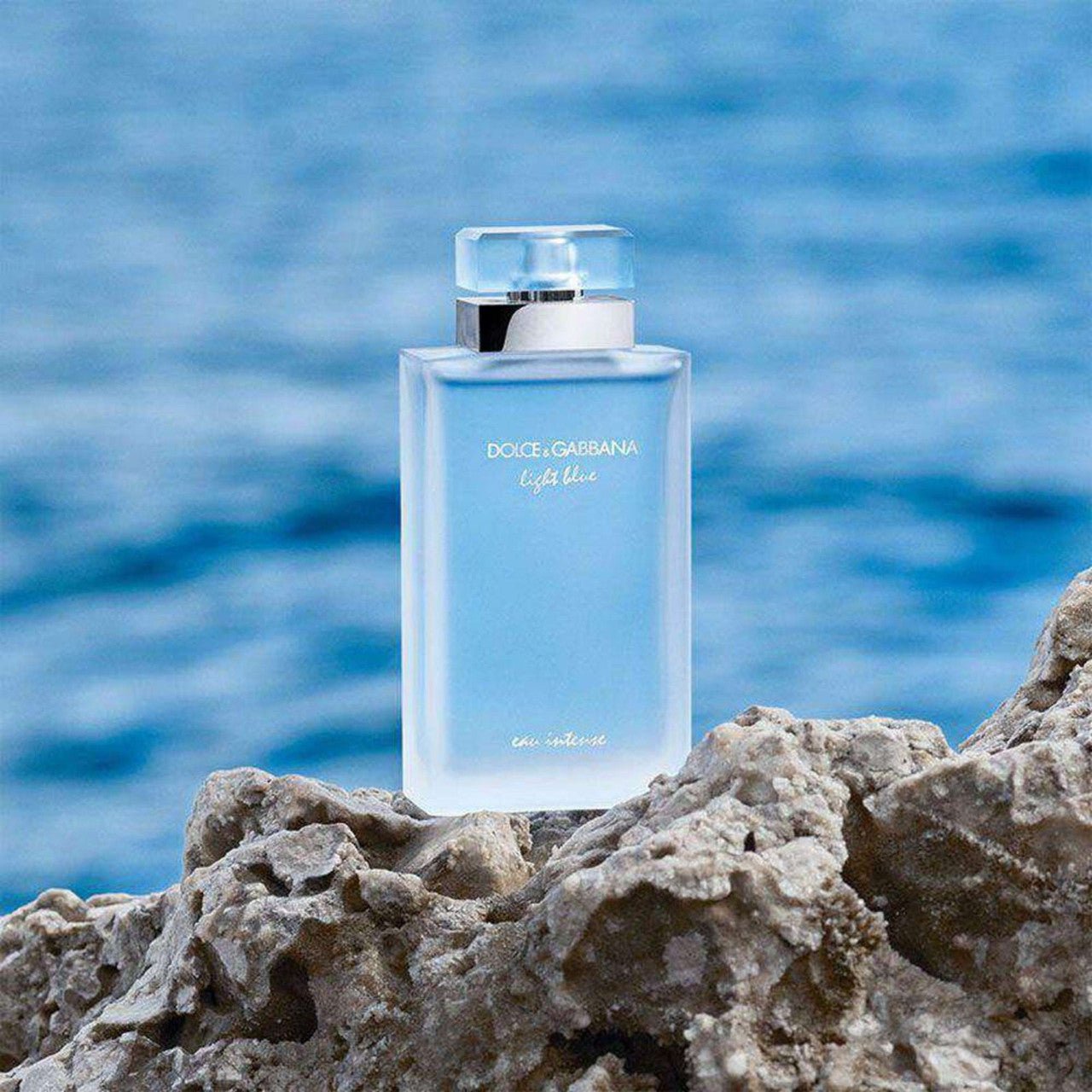 Dolce & Gabbana Light Blue Fragrance 3.3 oz 8057971181353