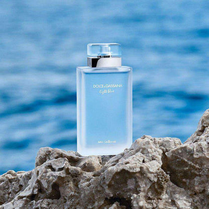 Dolce & Gabbana Light Blue Fragrance 3.3 oz 8057971181353