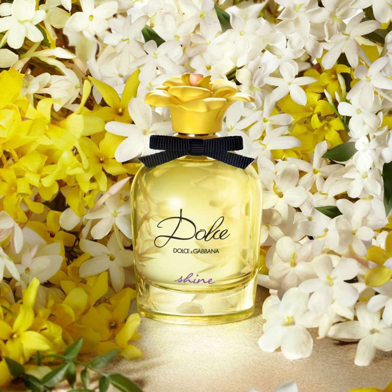 Dolce & Gabbana Shine Tester 2.5 oz 3423473005360