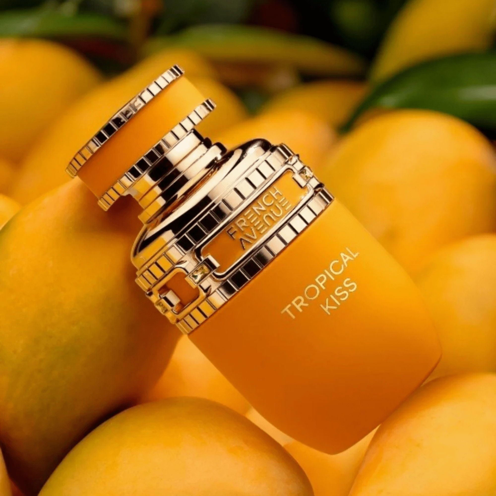 French Avenue Tropical Kiss Fragrance 3.4 oz 6290360375649