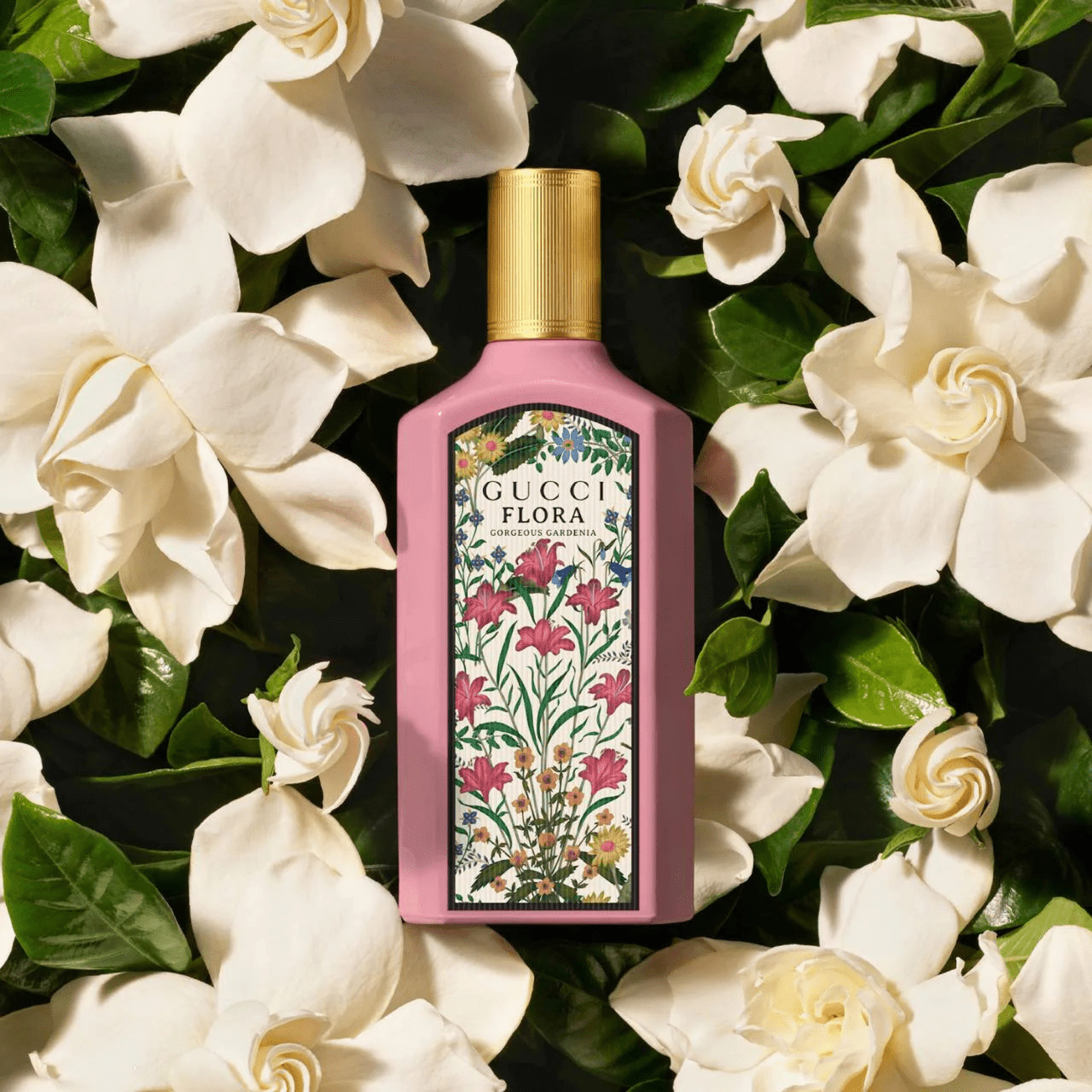 Gucci Flora Gorgeous Gardenia Fragrance 3.3 oz 3616302022472