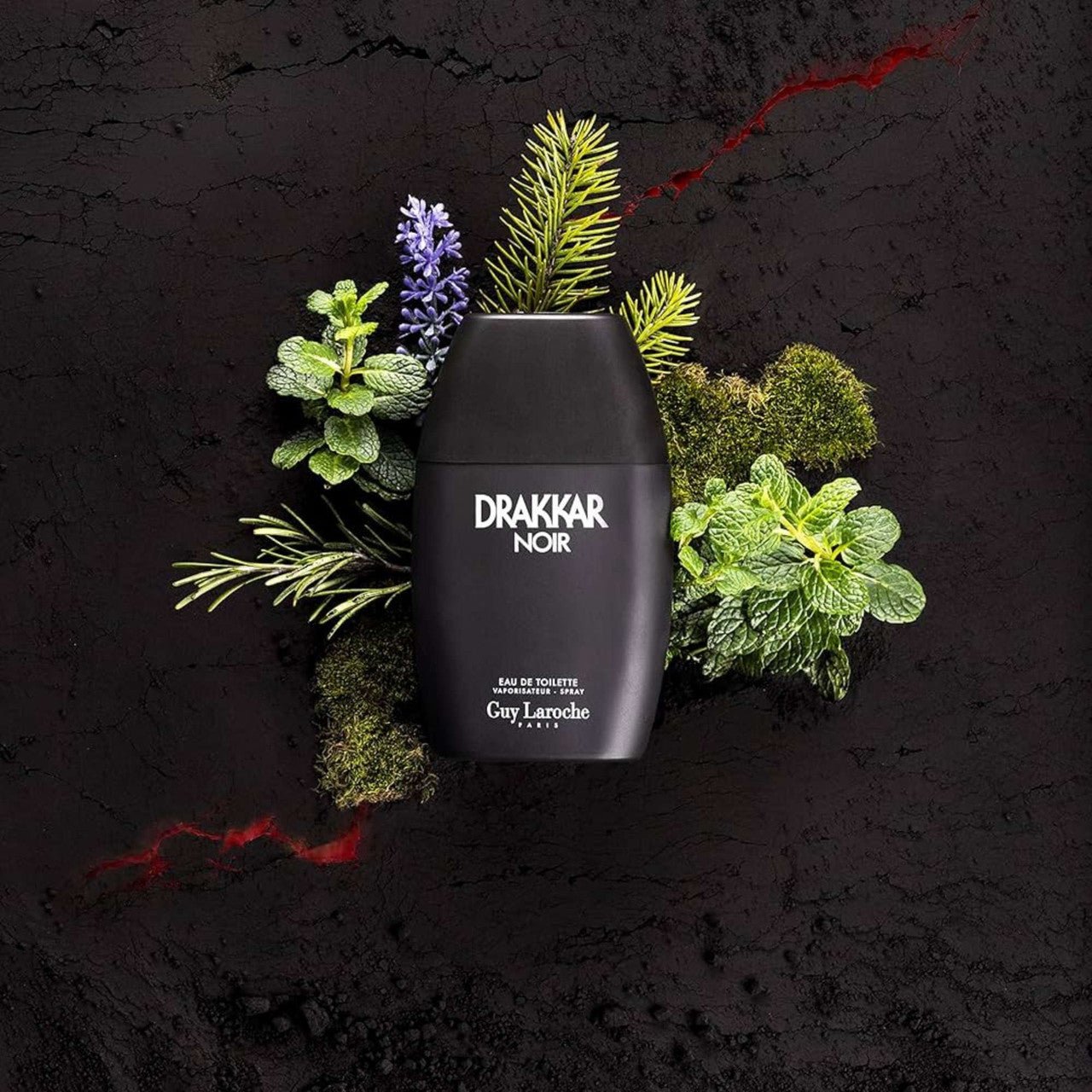 Guy Laroche Drakkar Noir Fragrance 3.4 oz 3360372009436