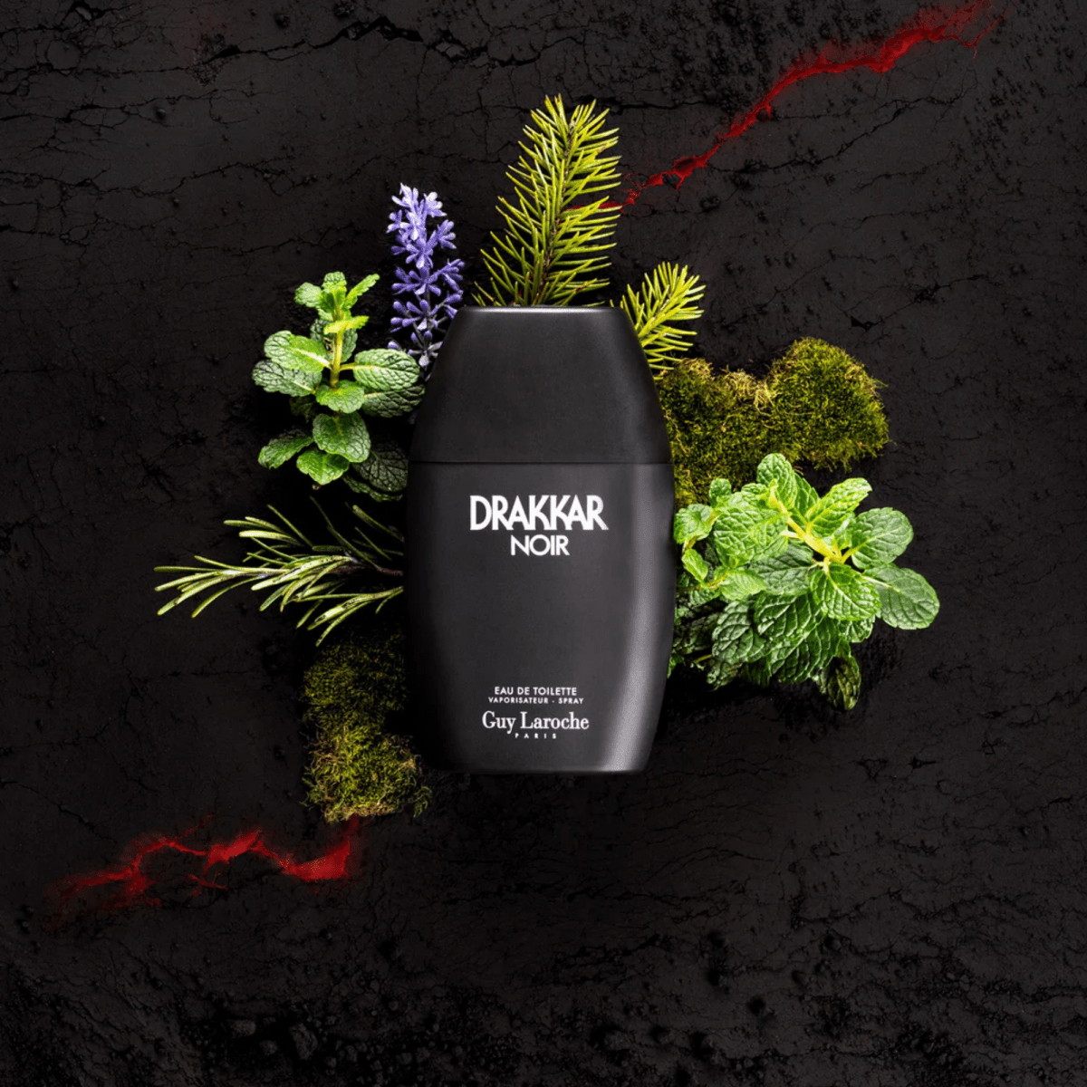 Guy Laroche Drakkar Noir Fragrance 6.7 oz 3360372017332