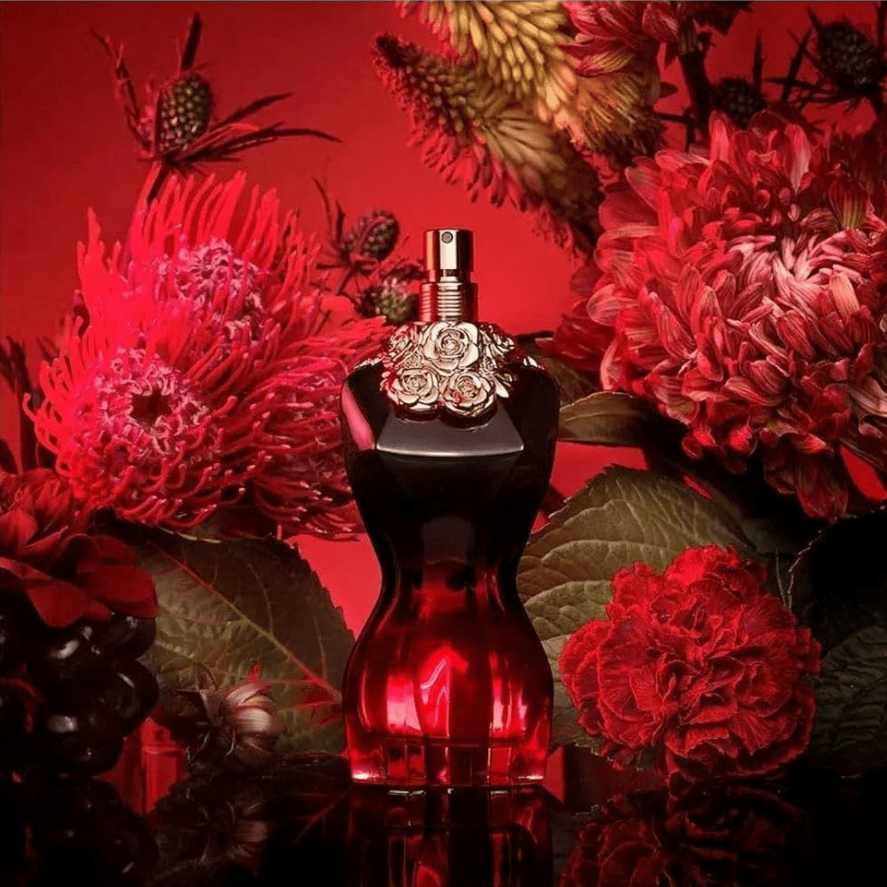 Jean Paul Gaultier Le Belle Fragrance 3.4 oz 8435415017244